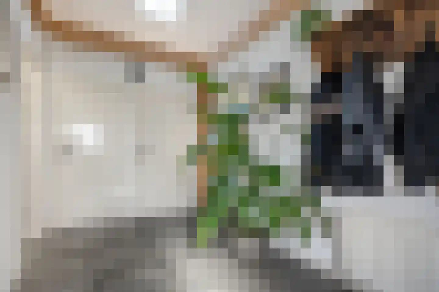 Het Bergje 2 Dedemsvaart thumbnail 10