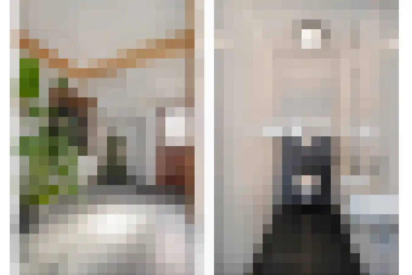 Het Bergje 2 Dedemsvaart thumbnail 11