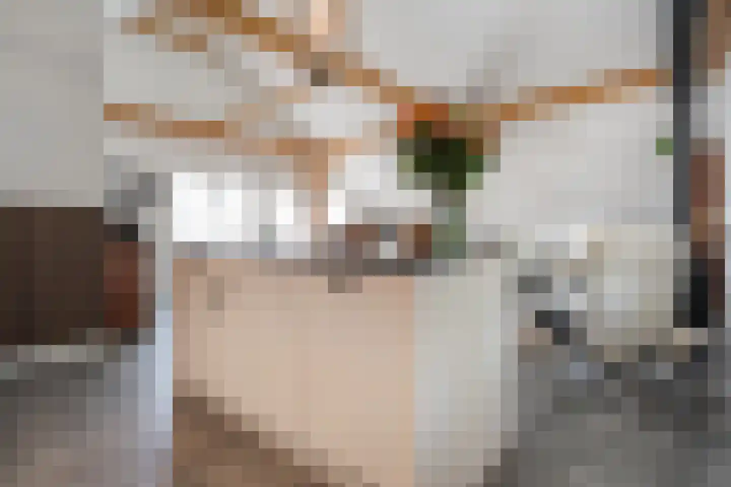 Het Bergje 2 Dedemsvaart thumbnail 13
