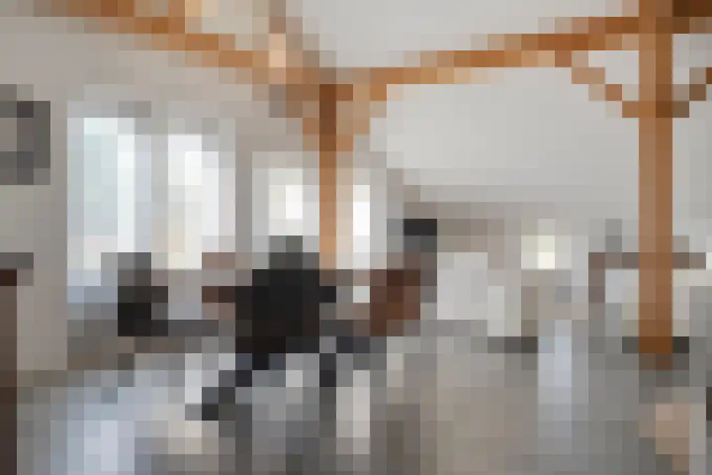 Het Bergje 2 Dedemsvaart thumbnail 14