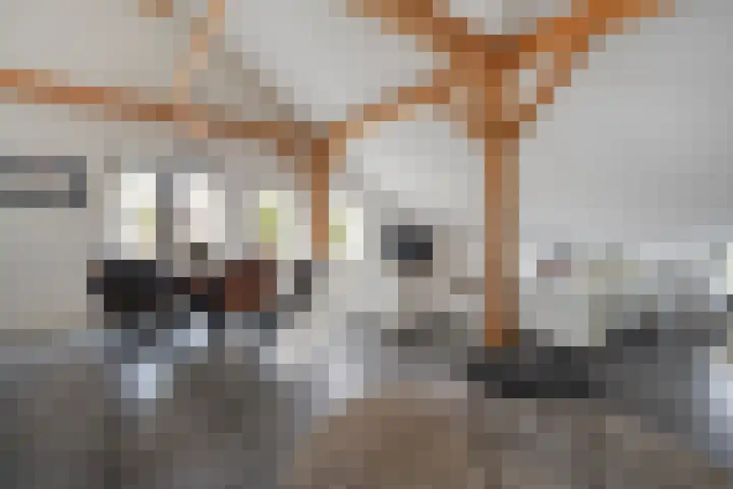 Het Bergje 2 Dedemsvaart thumbnail 15