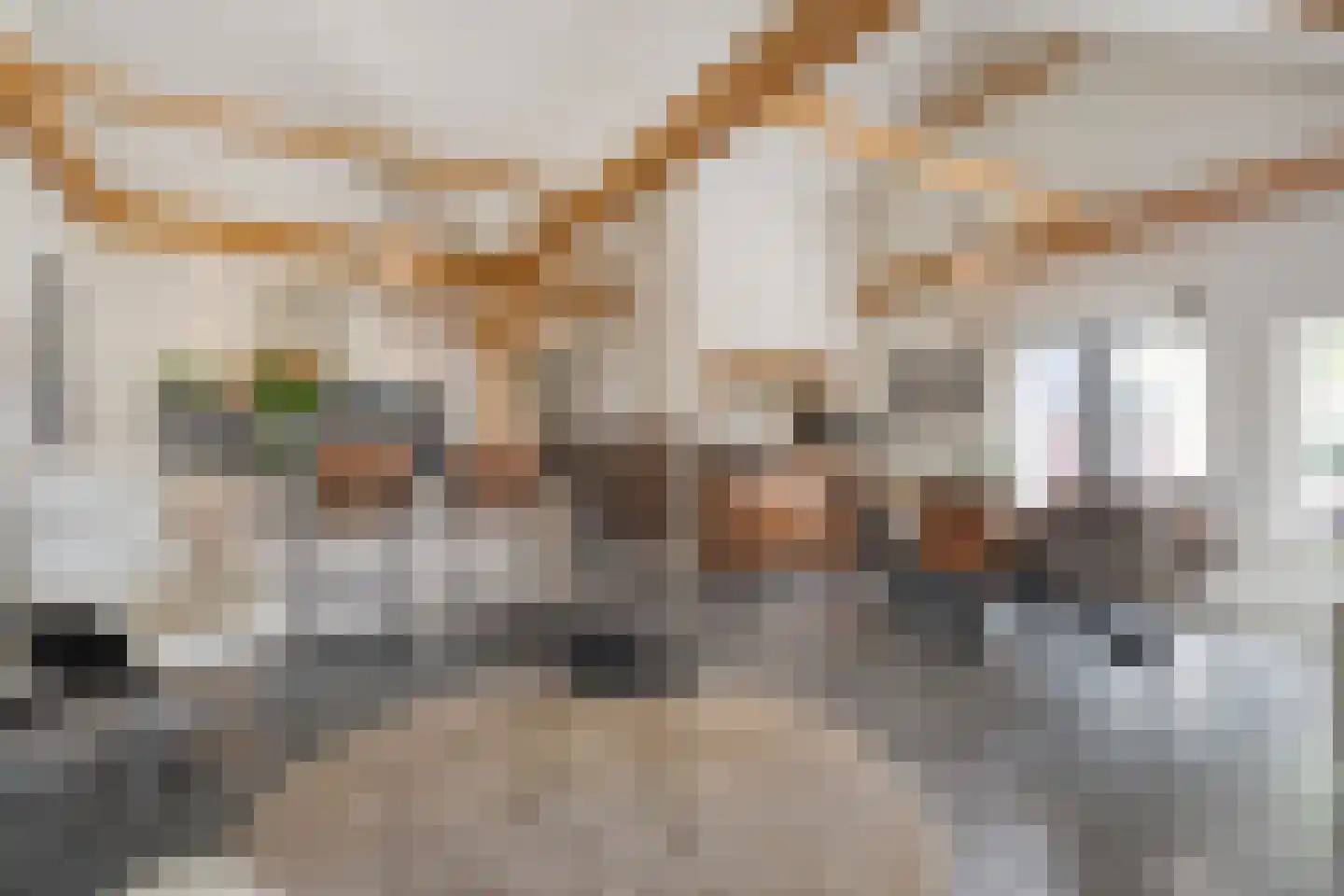 Het Bergje 2 Dedemsvaart thumbnail 16
