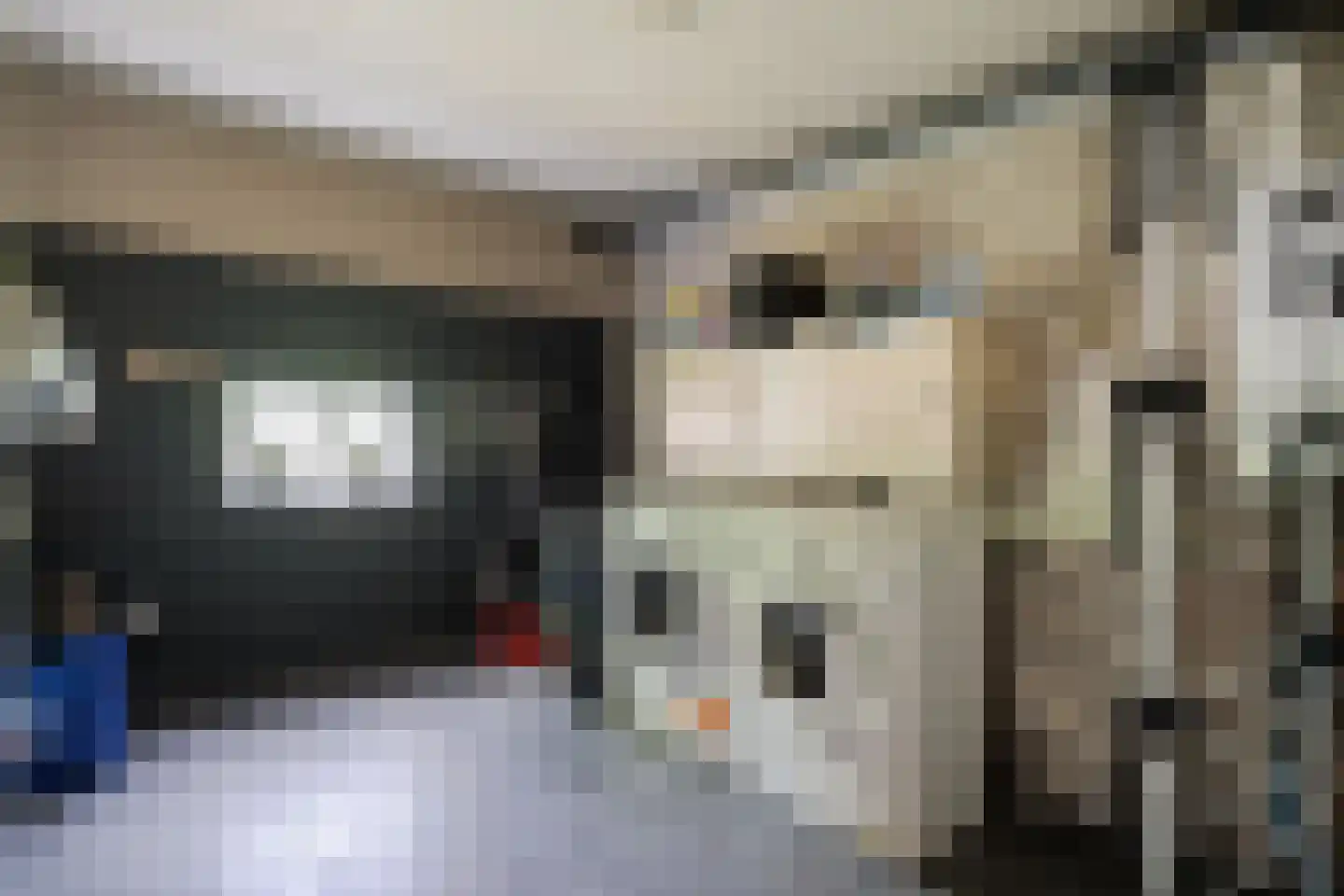 Het Bergje 2 Dedemsvaart thumbnail 25