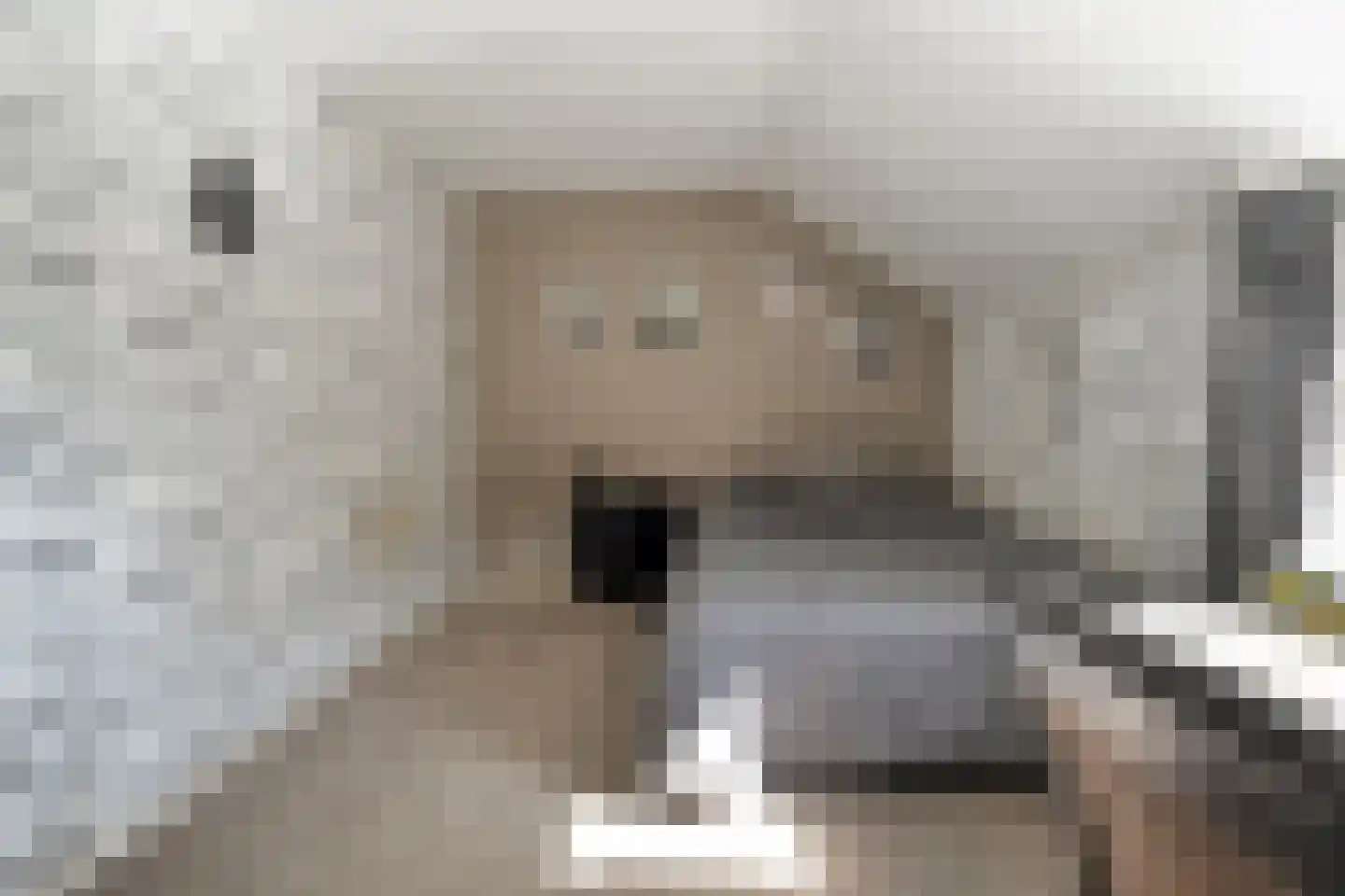 Het Bergje 2 Dedemsvaart thumbnail 27