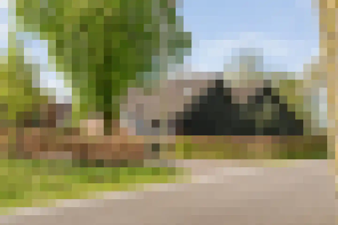 Het Bergje 2 Dedemsvaart foto 3