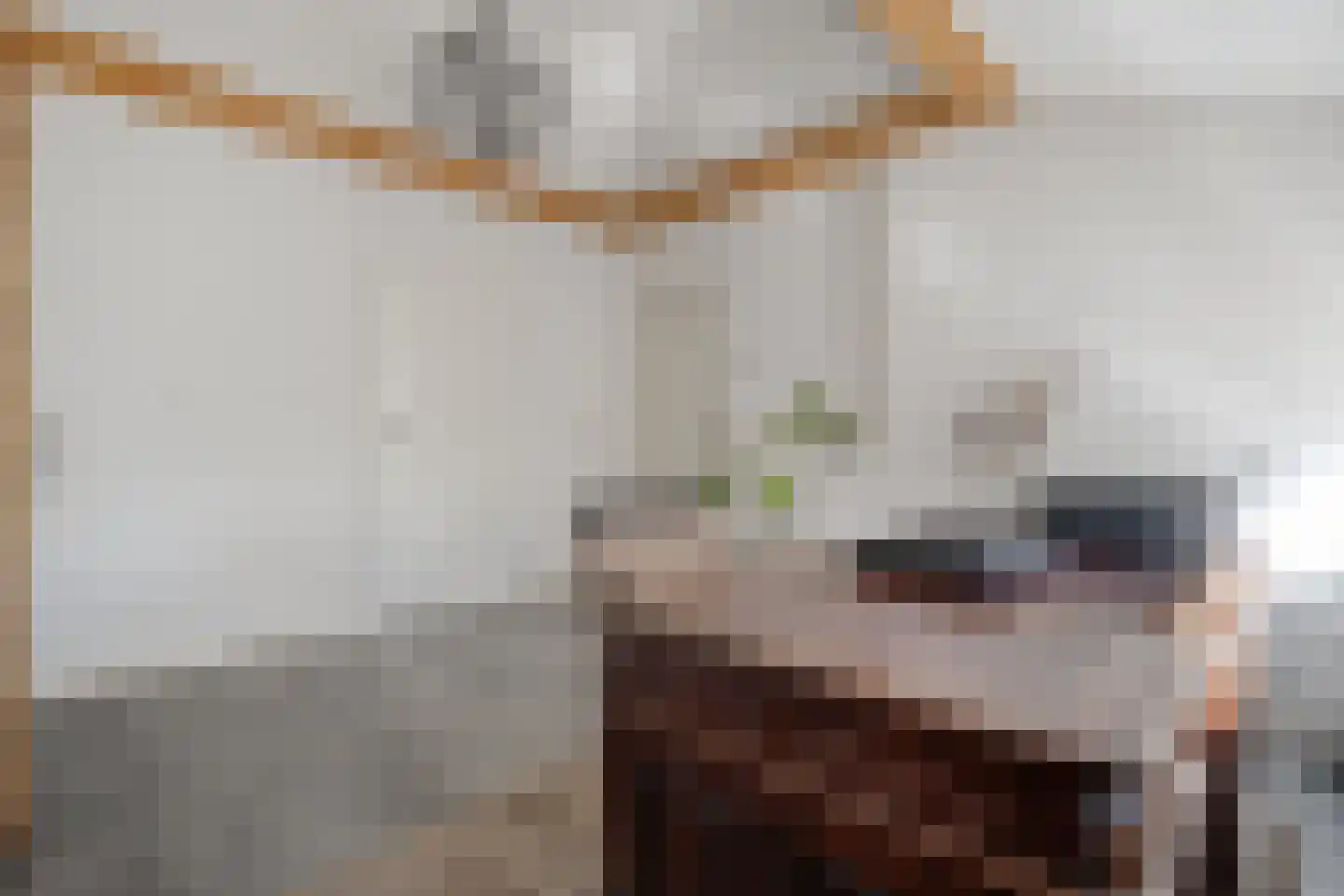 Het Bergje 2 Dedemsvaart thumbnail 30