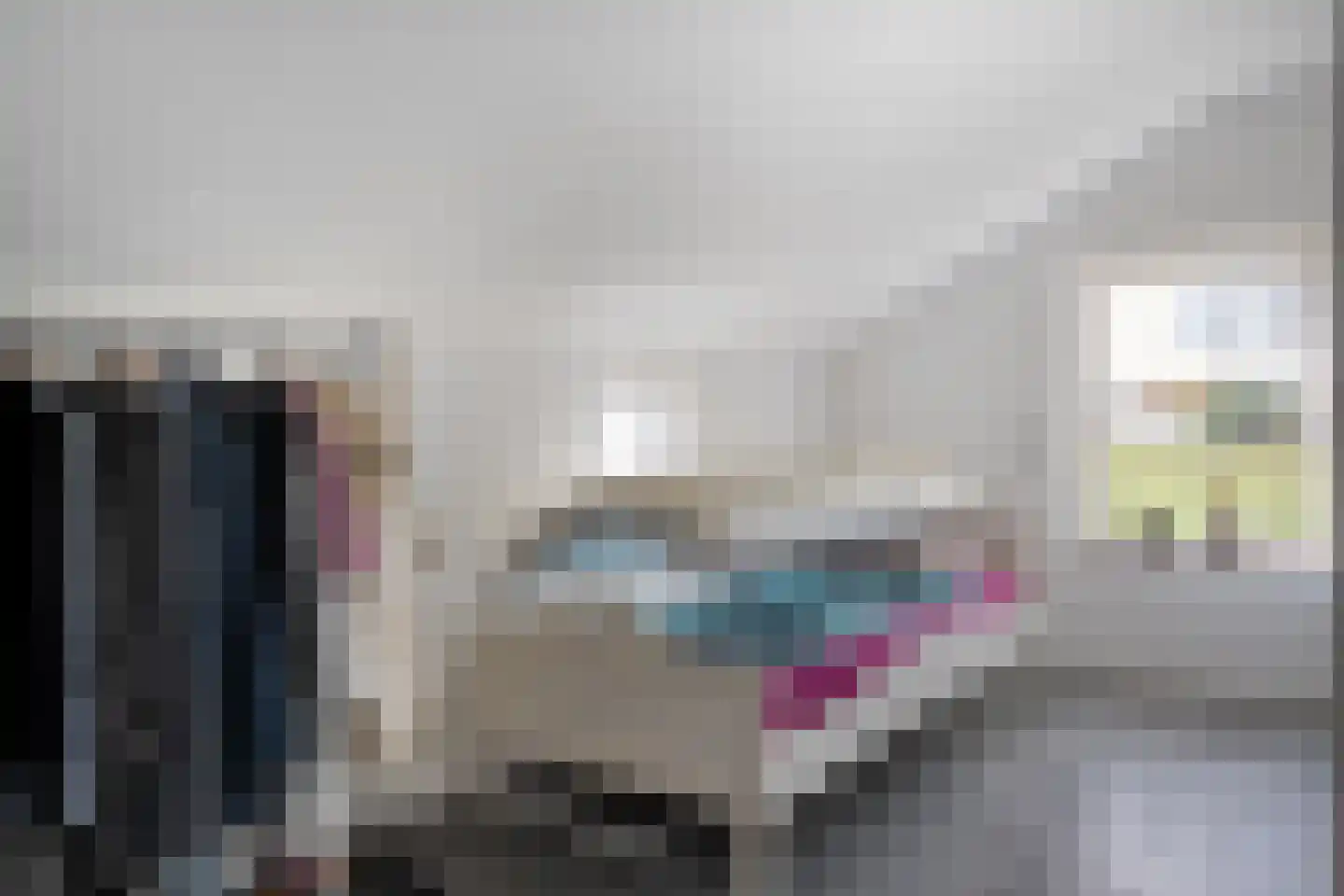 Het Bergje 2 Dedemsvaart thumbnail 34