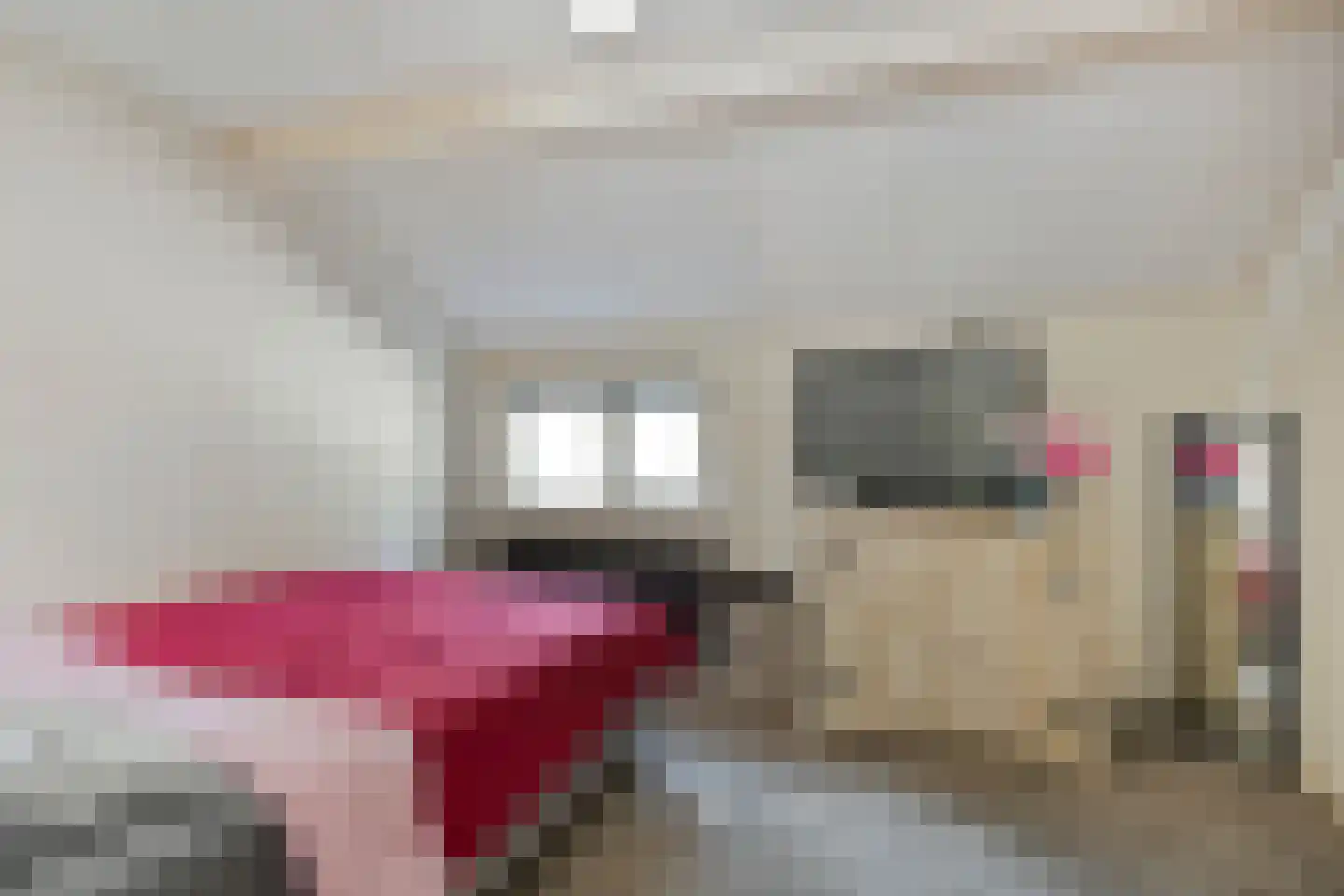 Het Bergje 2 Dedemsvaart thumbnail 37