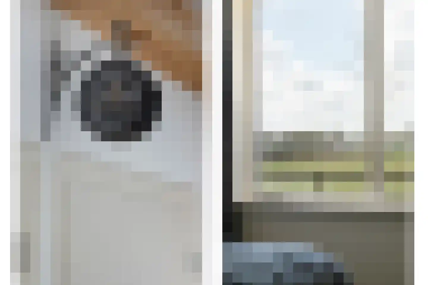 Het Bergje 2 Dedemsvaart thumbnail 38