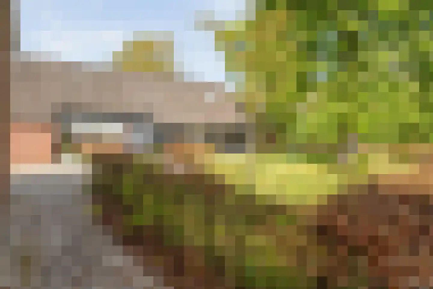 Het Bergje 2 Dedemsvaart thumbnail 44