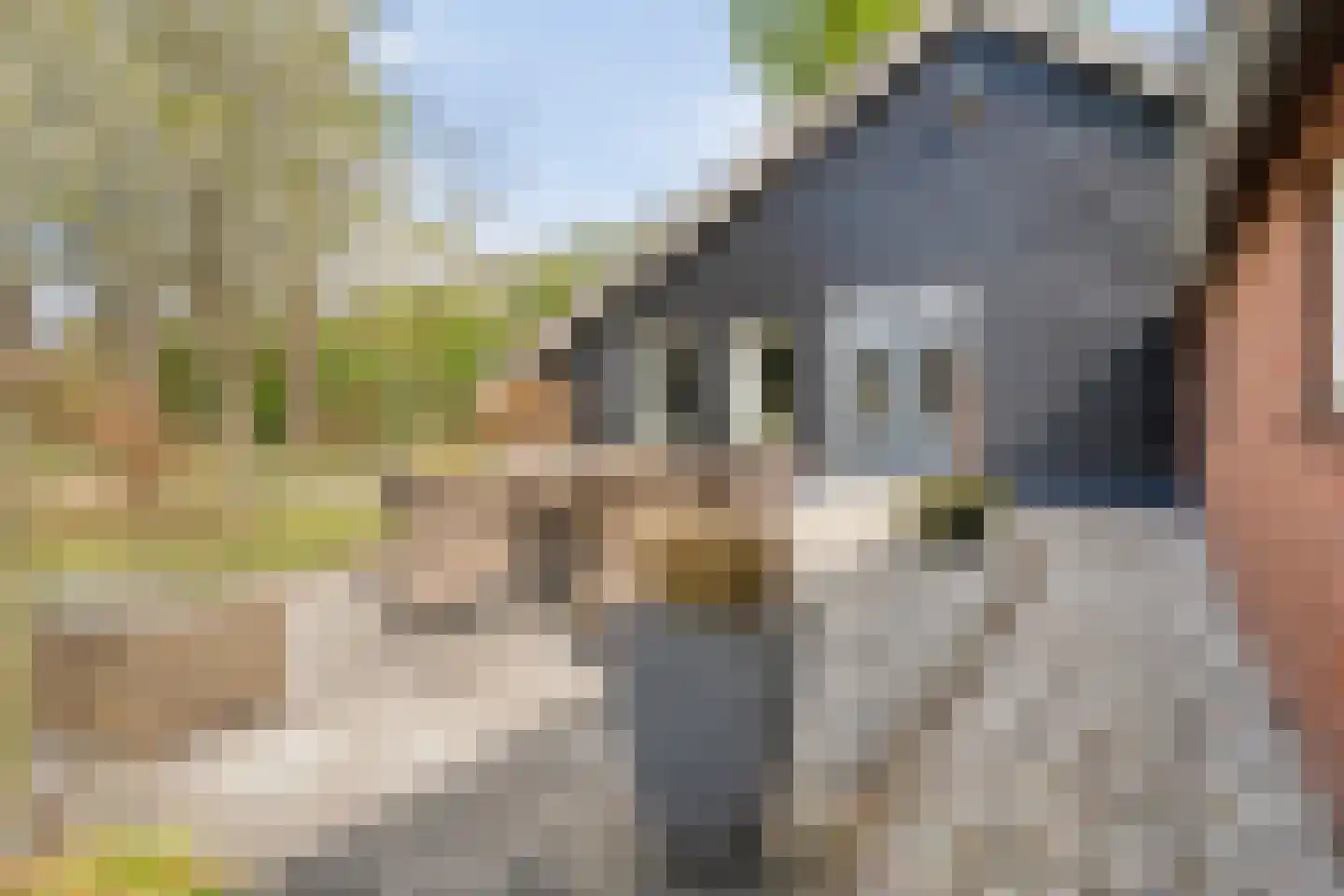 Het Bergje 2 Dedemsvaart thumbnail 45