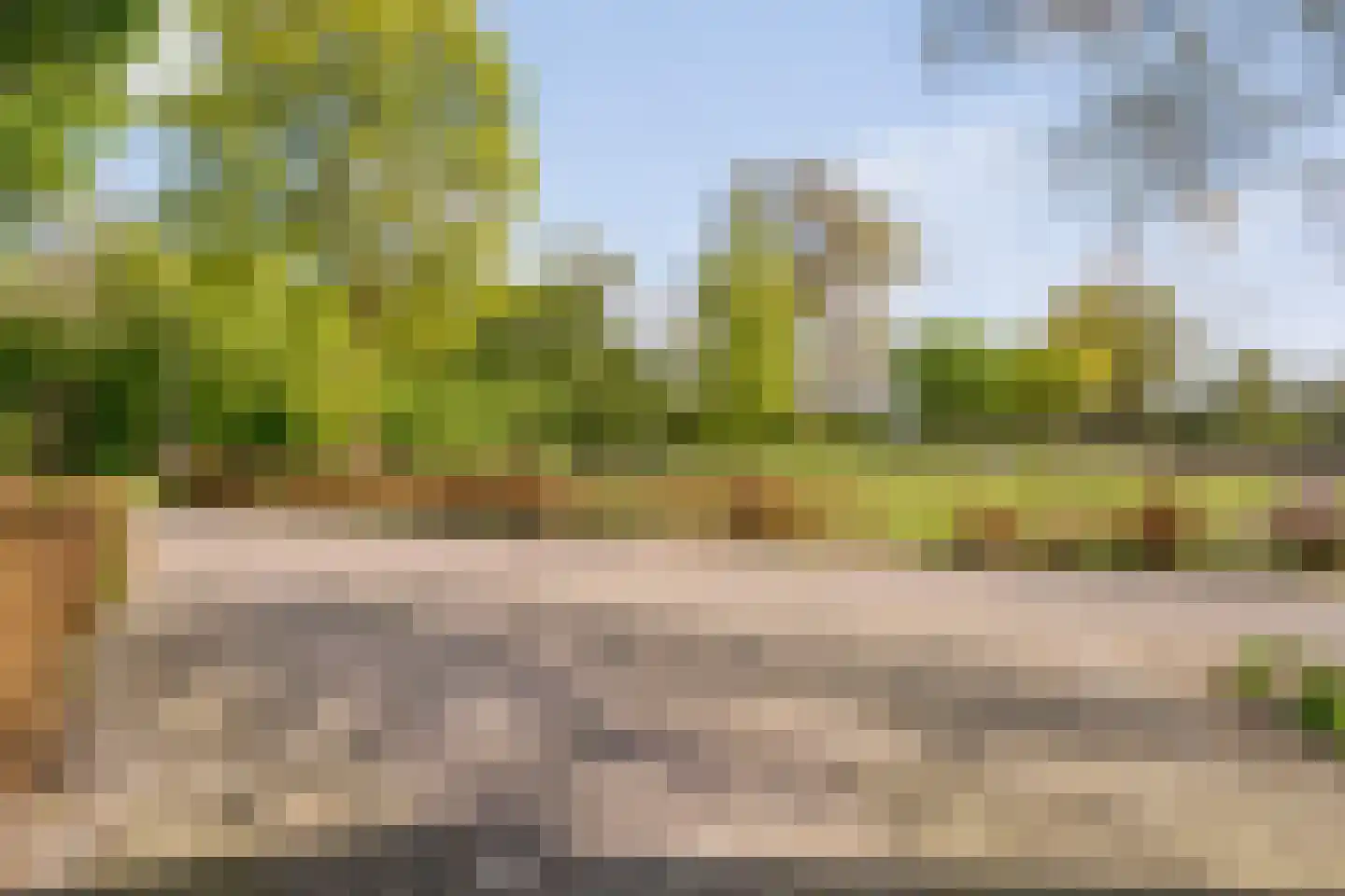 Het Bergje 2 Dedemsvaart thumbnail 5
