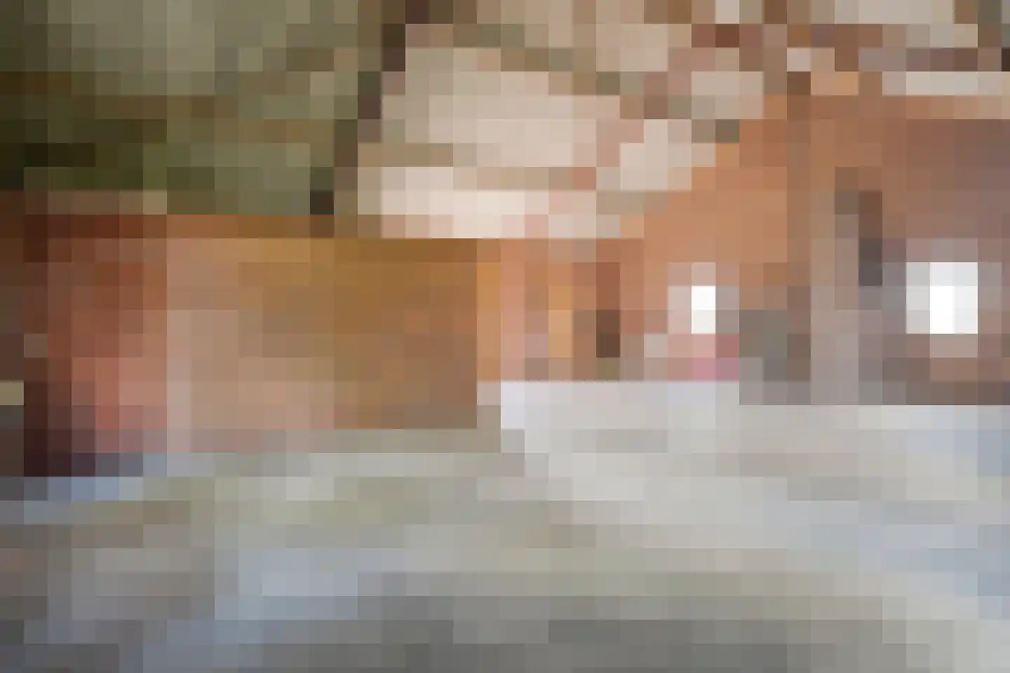 Het Bergje 2 Dedemsvaart thumbnail 51