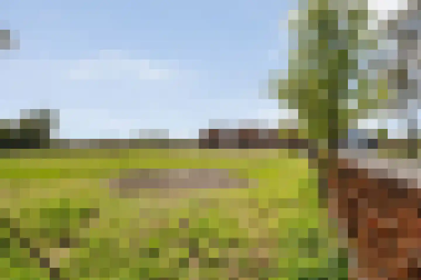 Het Bergje 2 Dedemsvaart thumbnail 52