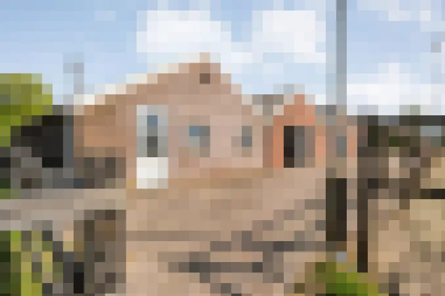 Het Bergje 2 Dedemsvaart thumbnail 56