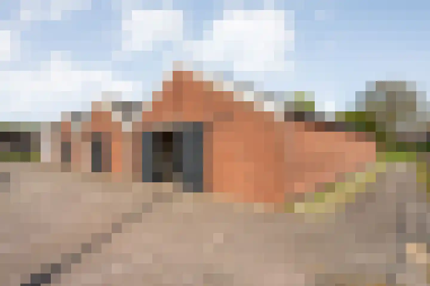 Het Bergje 2 Dedemsvaart thumbnail 57
