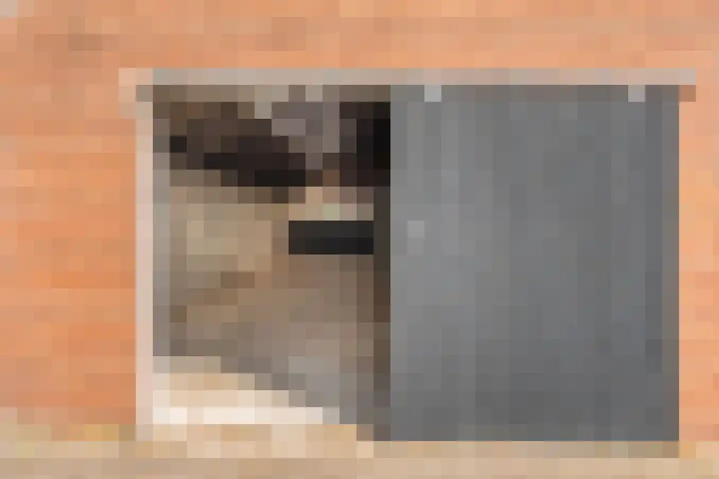 Het Bergje 2 Dedemsvaart thumbnail 58