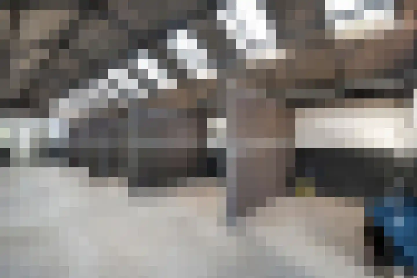 Het Bergje 2 Dedemsvaart thumbnail 59
