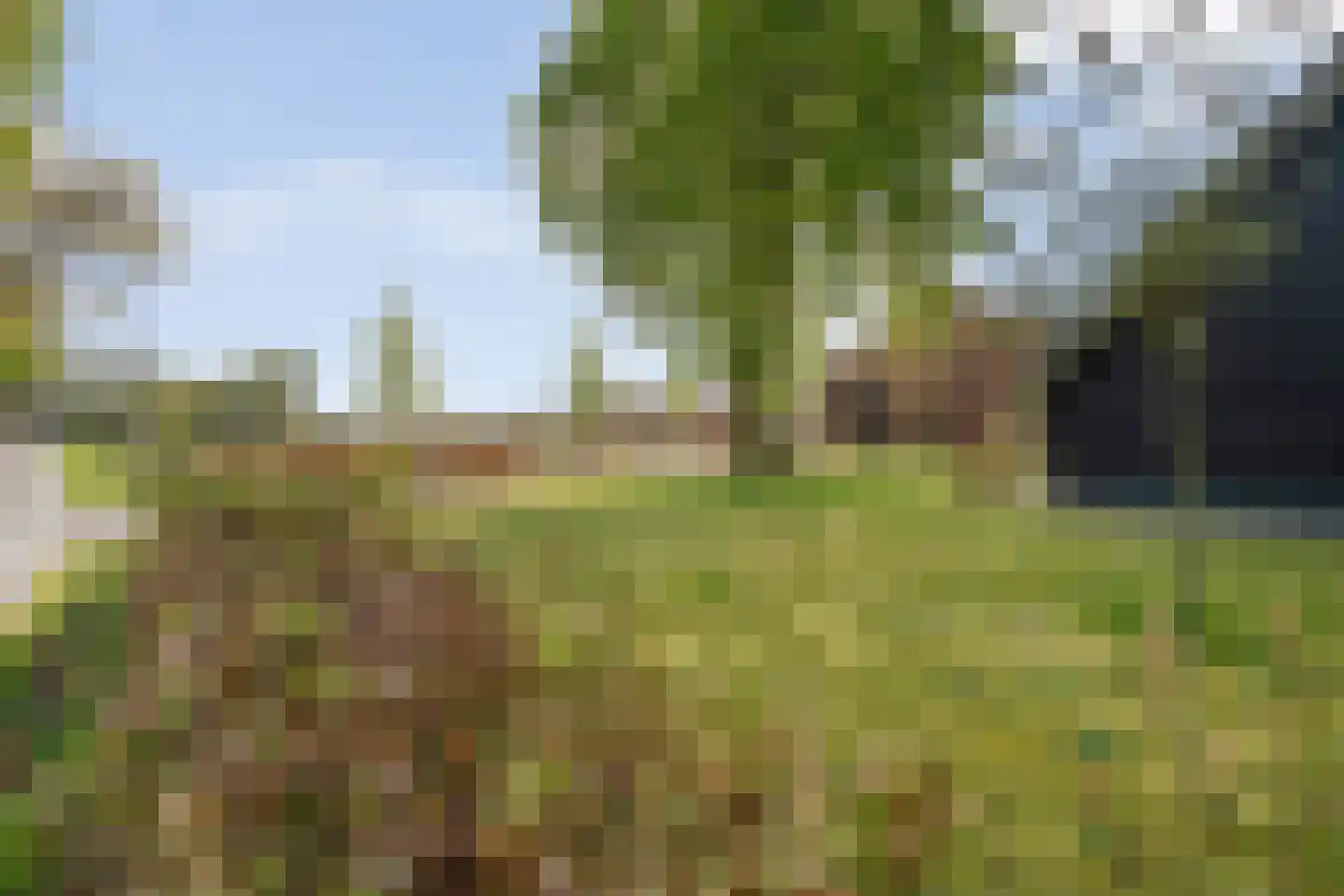 Het Bergje 2 Dedemsvaart thumbnail 6