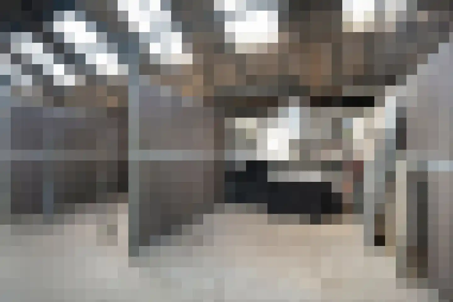 Het Bergje 2 Dedemsvaart thumbnail 60