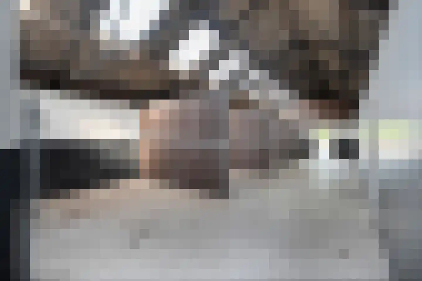 Het Bergje 2 Dedemsvaart thumbnail 64