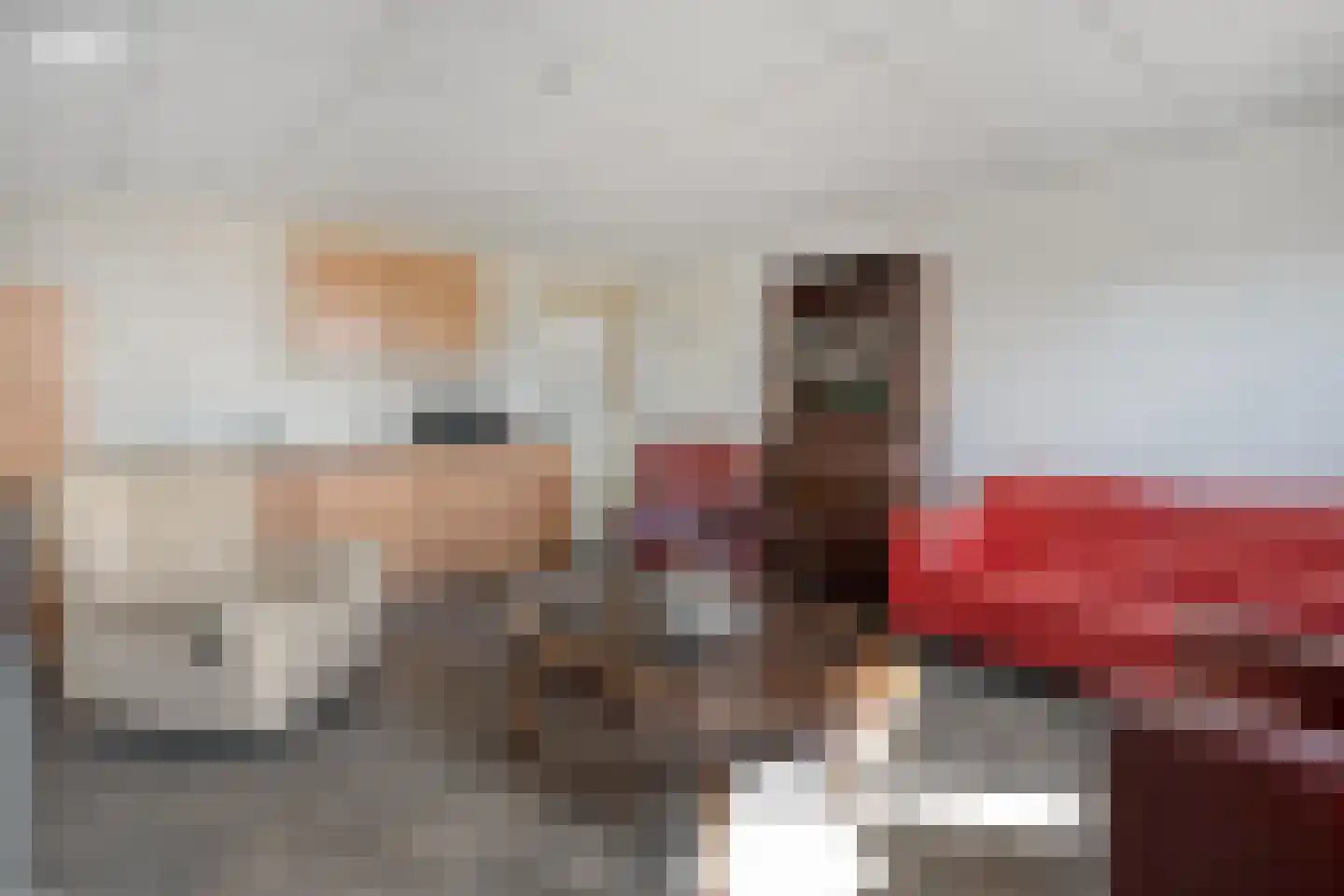 Het Bergje 2 Dedemsvaart thumbnail 66