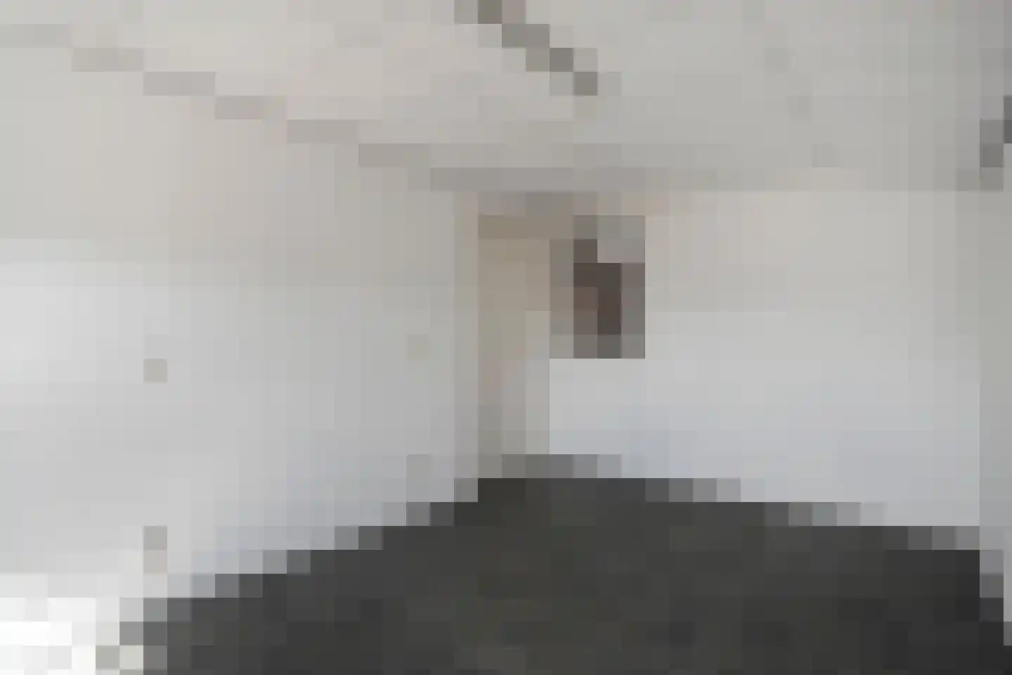 Het Bergje 2 Dedemsvaart thumbnail 69