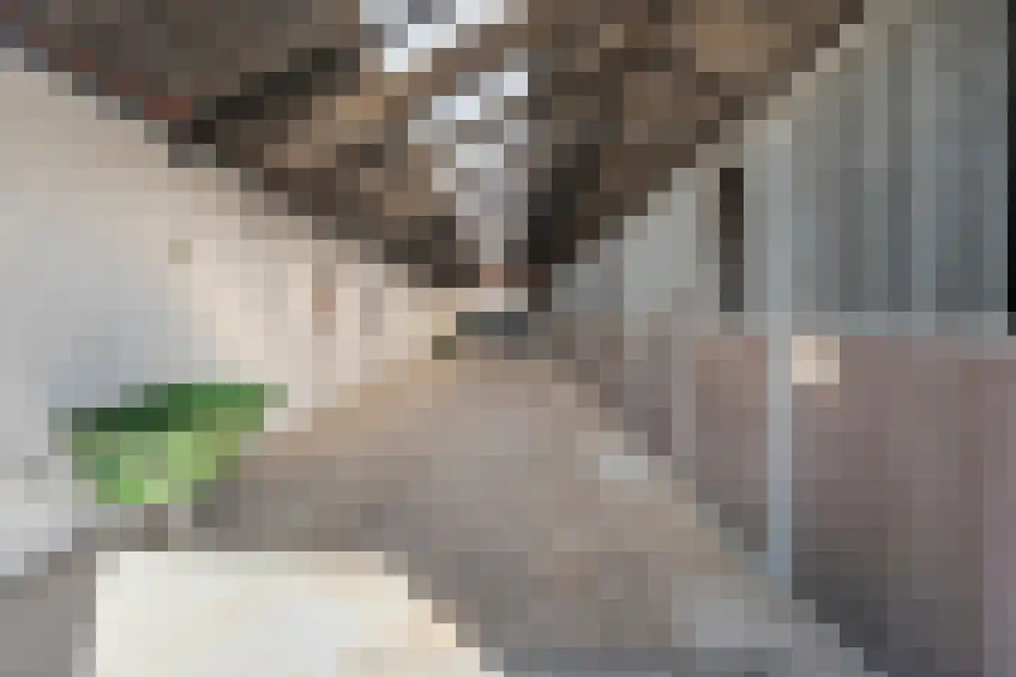 Het Bergje 2 Dedemsvaart thumbnail 70