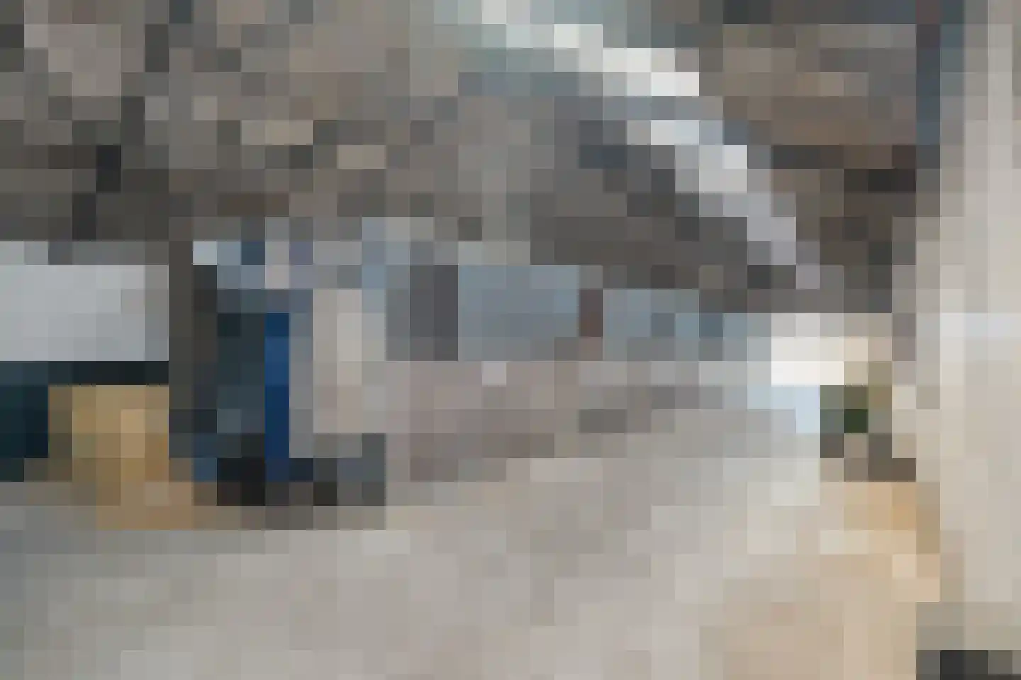 Het Bergje 2 Dedemsvaart thumbnail 71