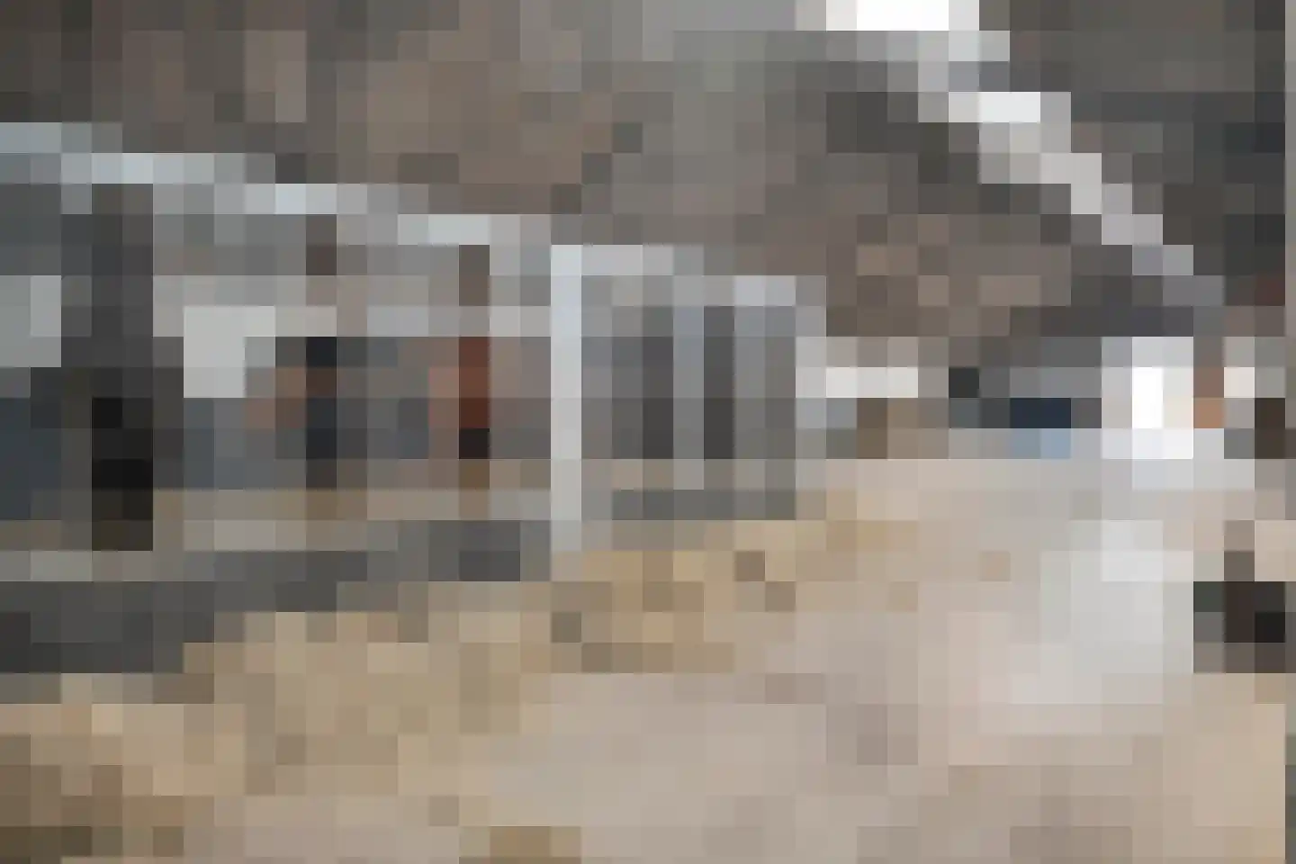 Het Bergje 2 Dedemsvaart thumbnail 72