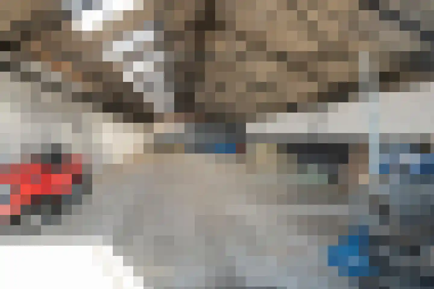 Het Bergje 2 Dedemsvaart thumbnail 74