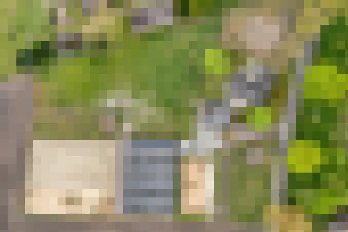 Het Bergje 2 Dedemsvaart thumbnail 80