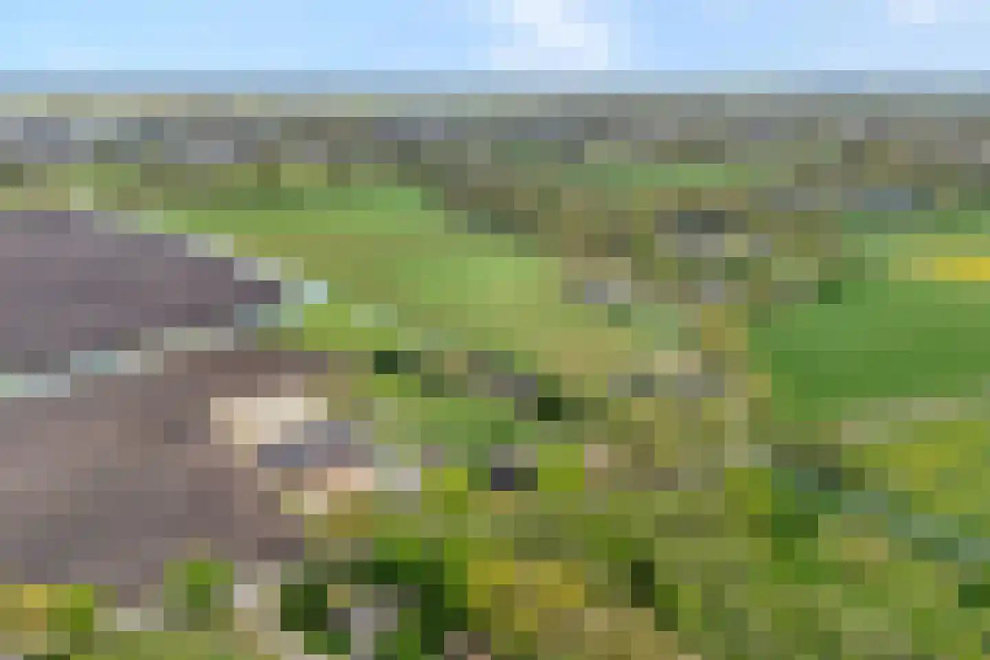 Het Bergje 2 Dedemsvaart thumbnail 82