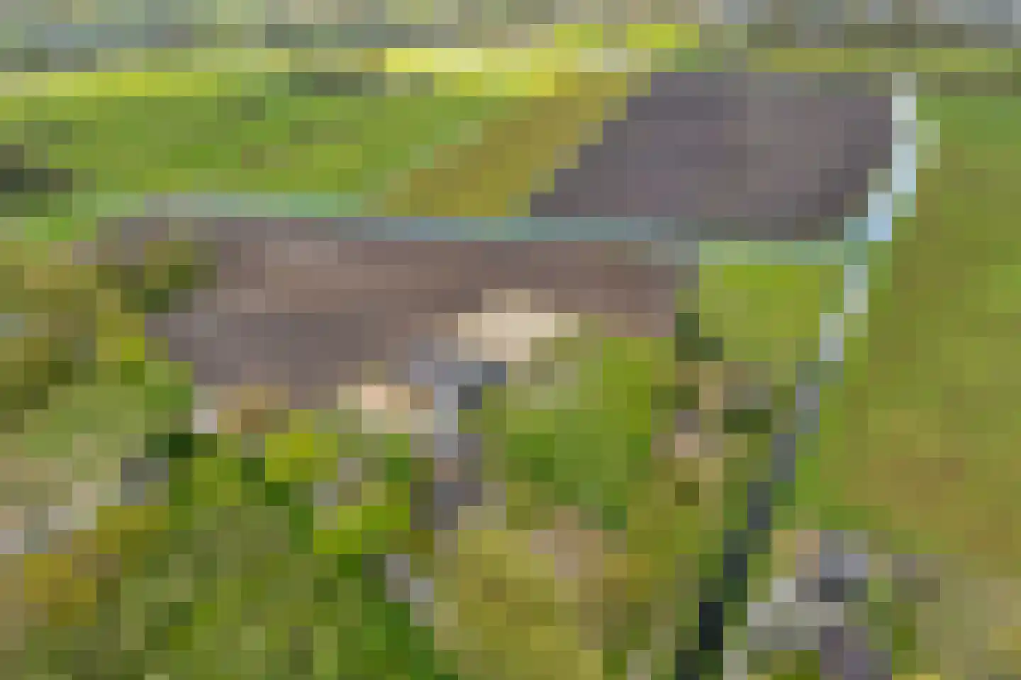 Het Bergje 2 Dedemsvaart thumbnail 83