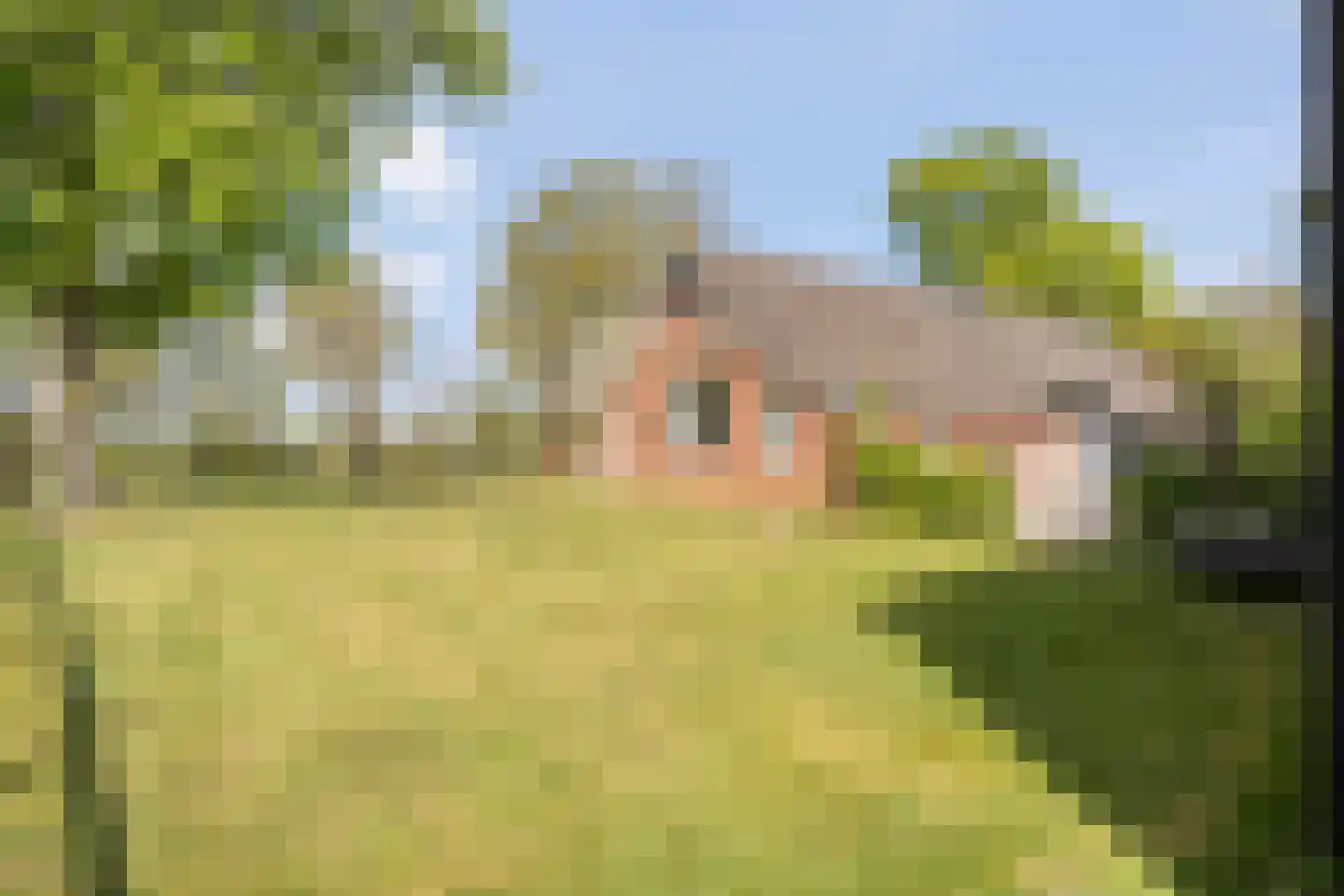 Het Bergje 2 Dedemsvaart thumbnail 9