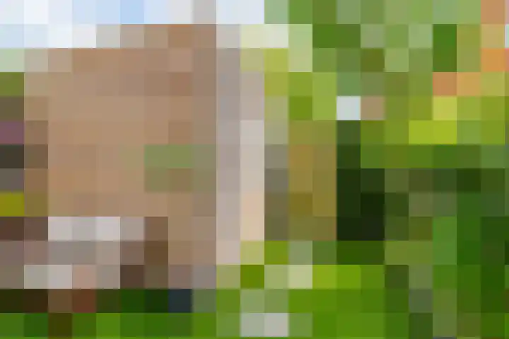 Het Betonijzer 208 Diemen thumbnail 12