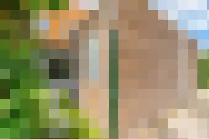 Het Betonijzer 208 Diemen thumbnail 13