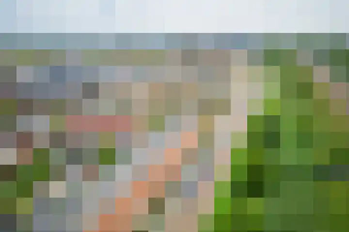Het Betonijzer 208 Diemen thumbnail 54