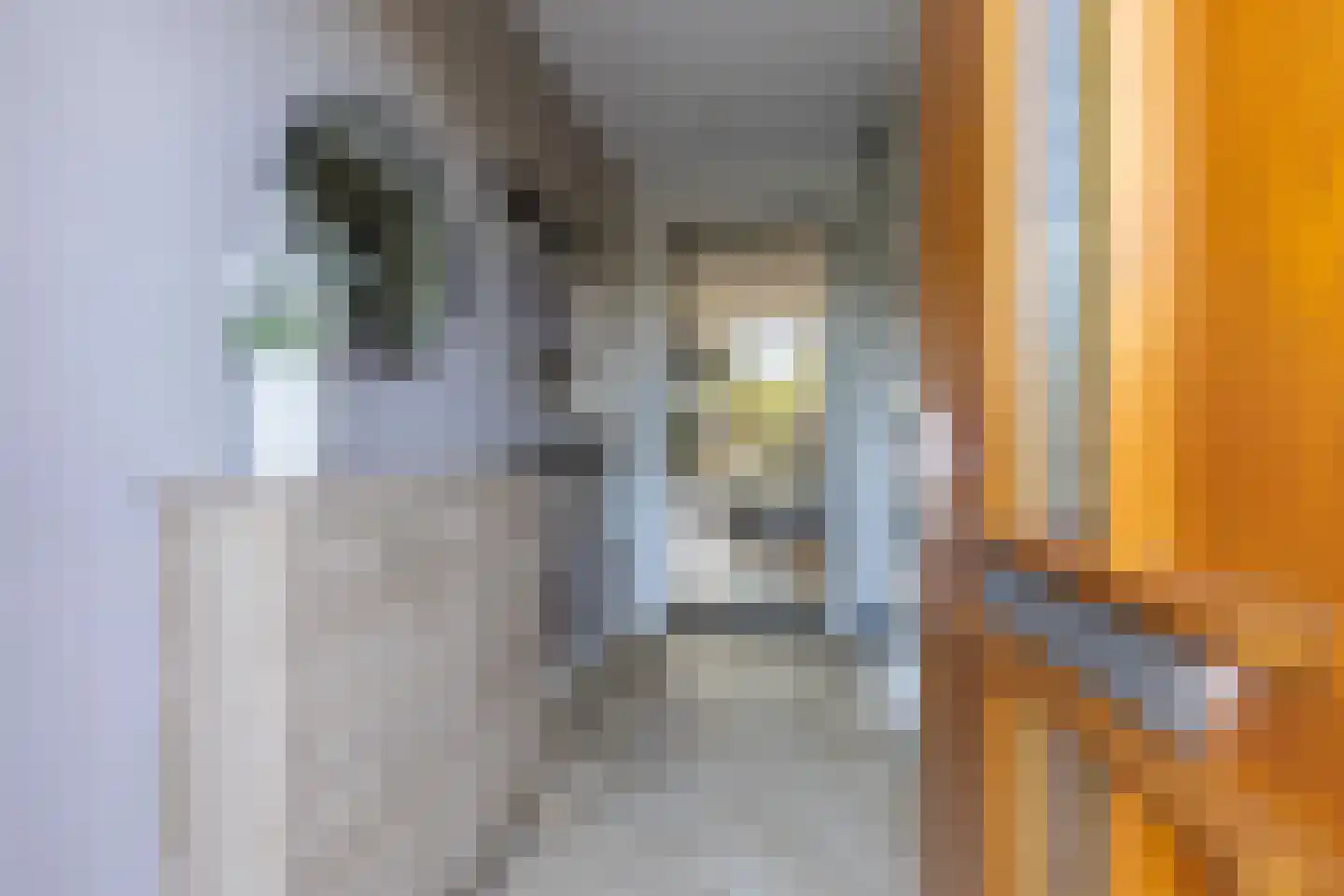 Het Betonijzer 210 Diemen thumbnail 4
