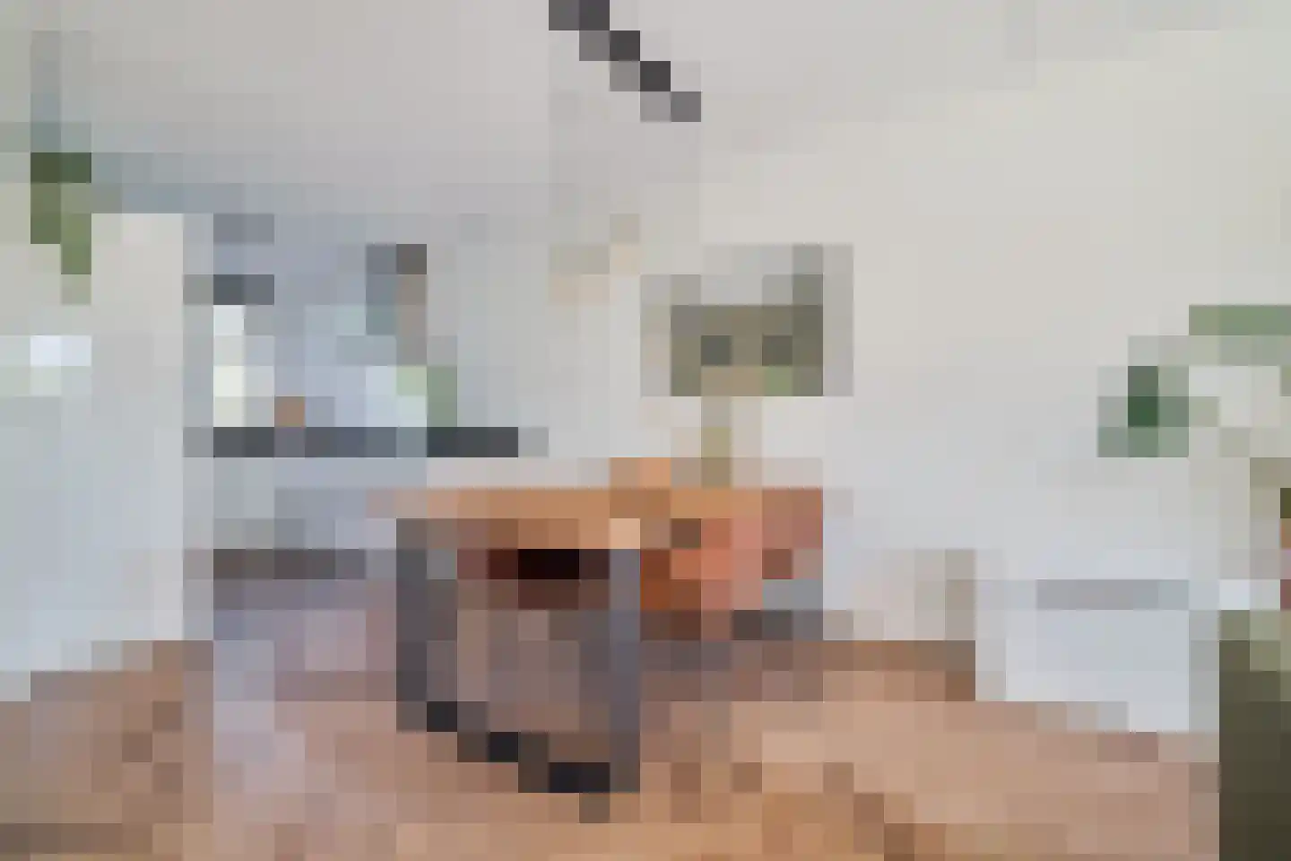 Het Betonijzer 222 Diemen thumbnail 10