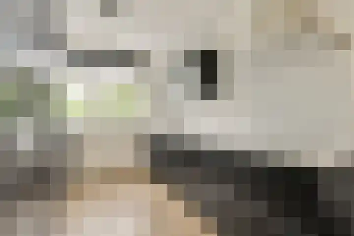 Het Betonijzer 244 Diemen thumbnail 10