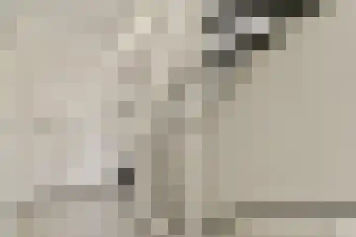 Het Betonijzer 244 Diemen thumbnail 12