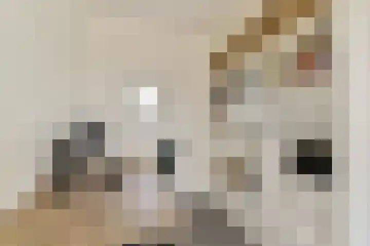 Het Betonijzer 244 Diemen thumbnail 22