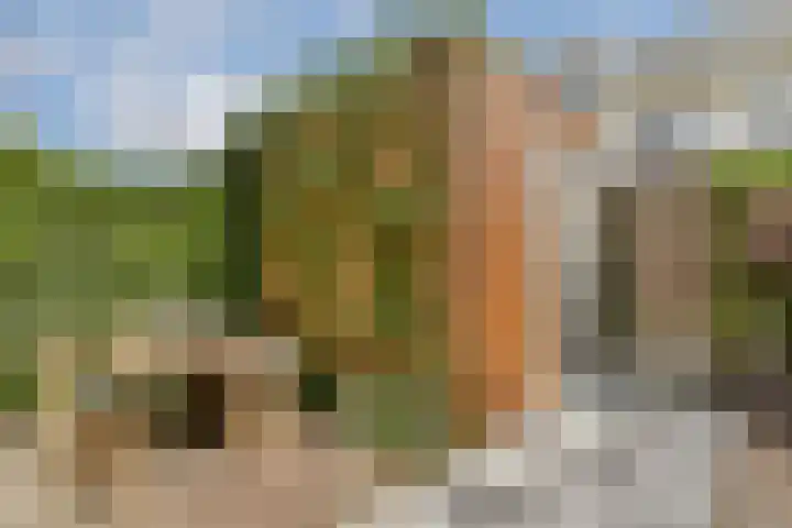 Het Betonijzer 244 Diemen thumbnail 6