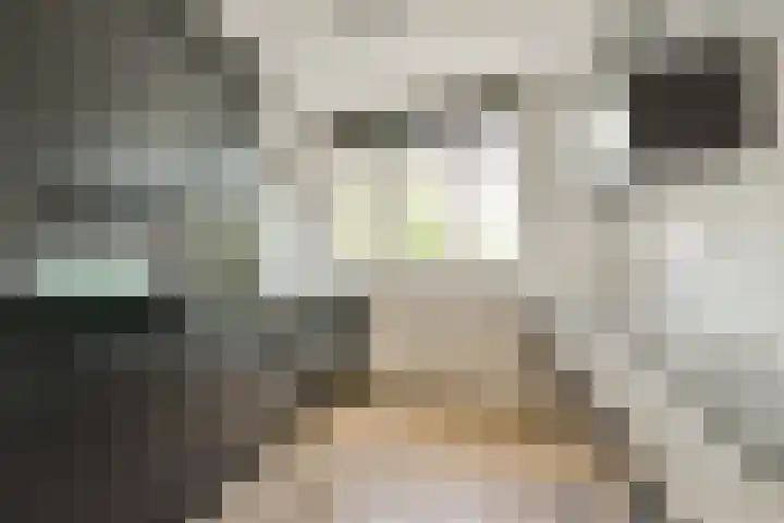 Het Betonijzer 244 Diemen thumbnail 9