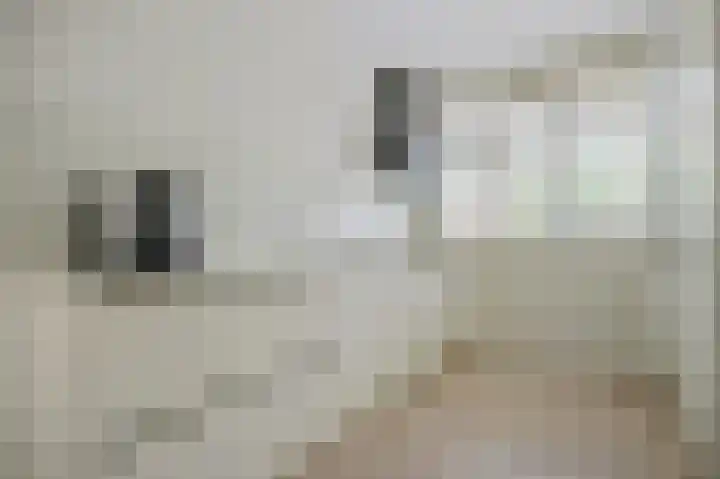 Het Betonijzer 252 Diemen thumbnail 13