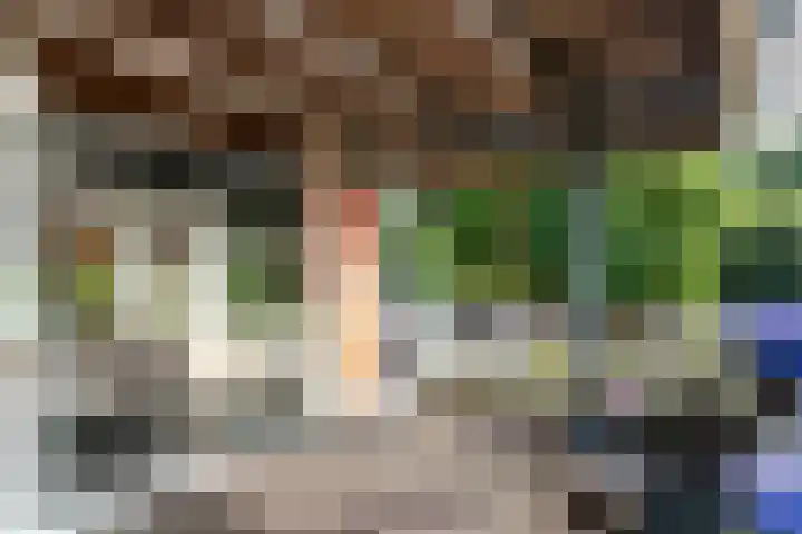 Het Bildt 150 Lelystad thumbnail 15