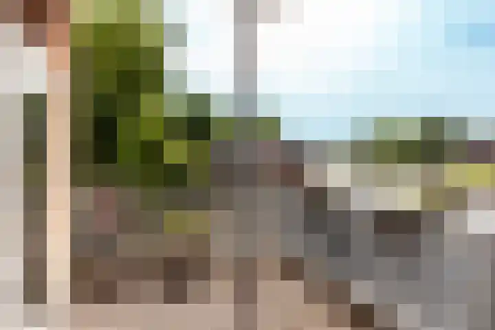 Het Bildt 150 Lelystad thumbnail 24