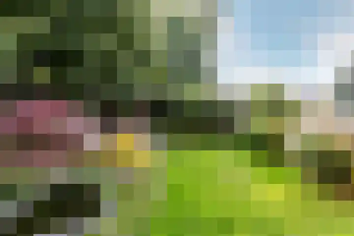 Het Bildt 150 Lelystad thumbnail 30