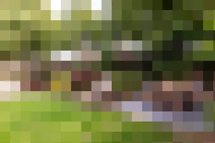 Het Bildt 150 Lelystad thumbnail 31